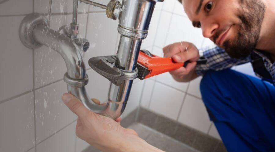 Professional same day plumber services in Salineno, TX